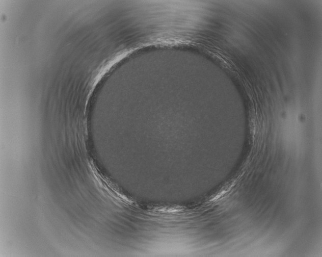 X0000057090488200509091317