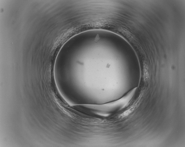 X0000057090493200509091317