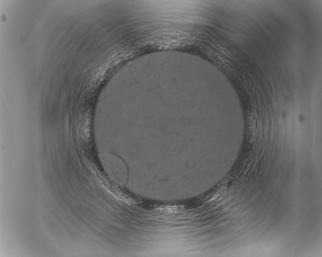 X0000057090499200509091317