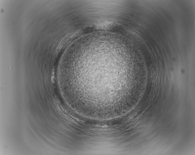 X0000057090502200509091317