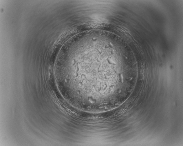 X0000057090503200509091317