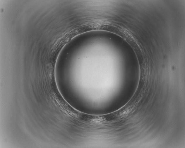 X0000057090505200509091317