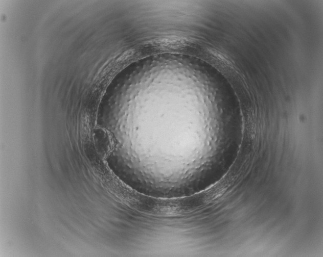 X0000057090506200509091317