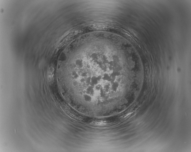 X0000057090507200509091317