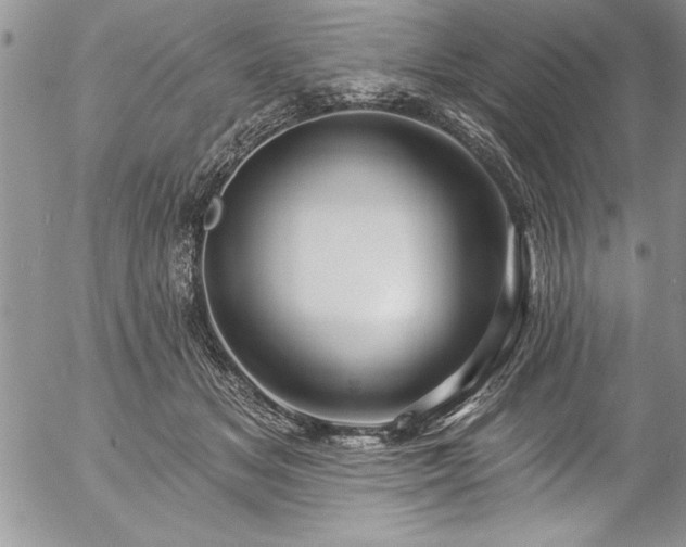 X0000057090509200509091317