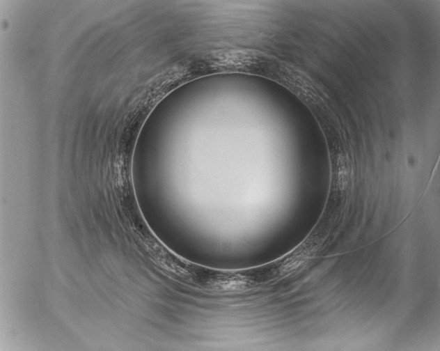 X0000057090514200509091317