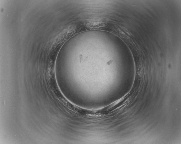 X0000057090515200509091317