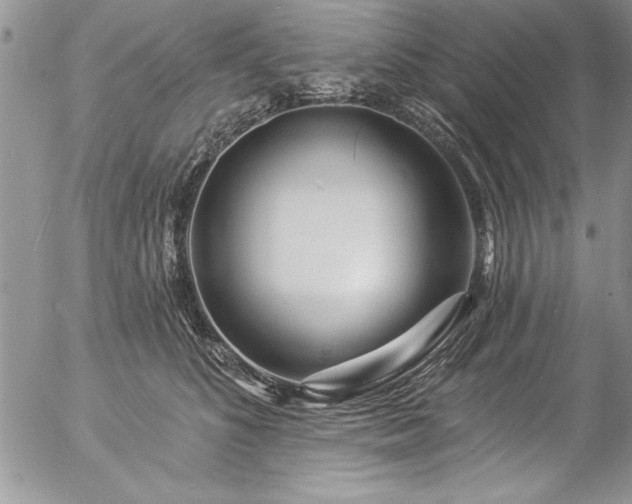 X0000057090516200509091317