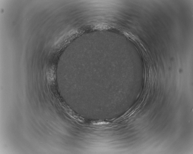 X0000057090517200509091317