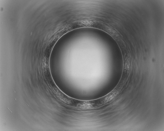 X0000057090518200509091316