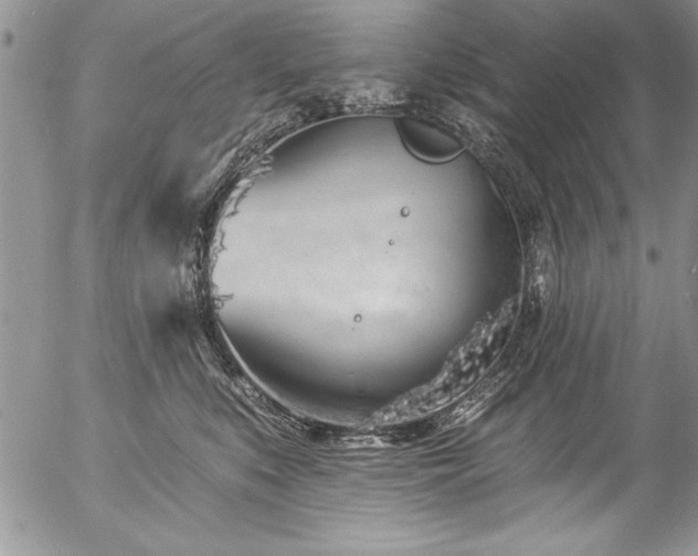 X0000057090519200509091316