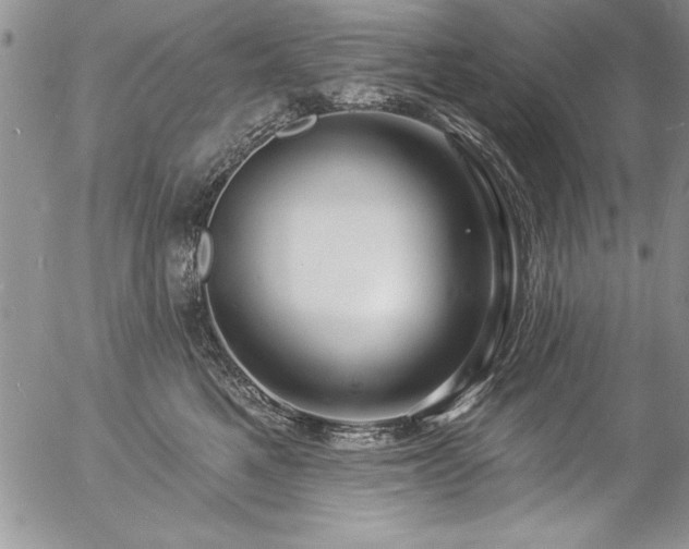 X0000057090521200509091316