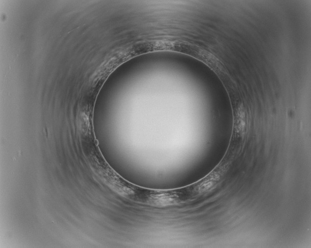 X0000057090522200509091316