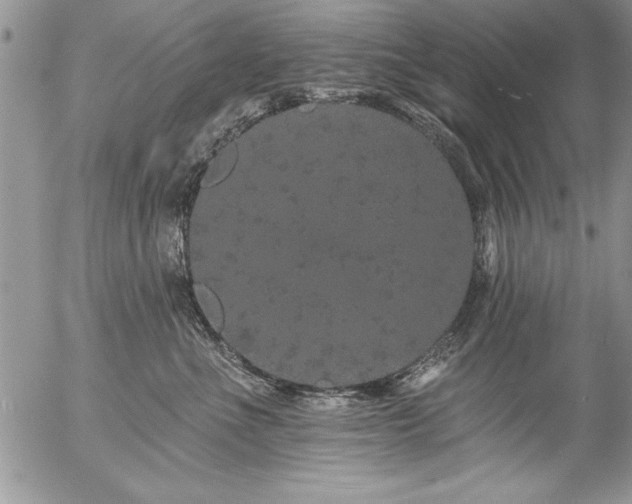 X0000057090523200509091316