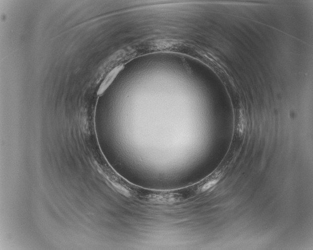 X0000057090524200509091316