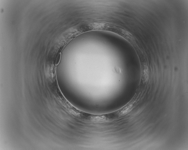 X0000057090525200509091316