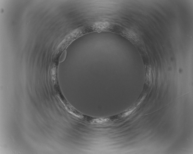 X0000057090526200509091316