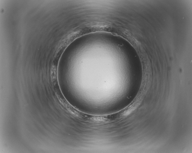 X0000057090528200509091316