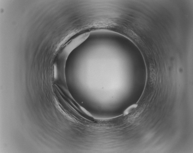 X0000057090530200509091316