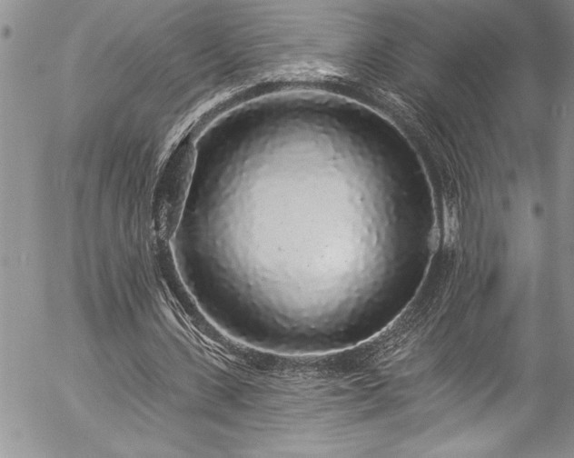 X0000057090531200509091316