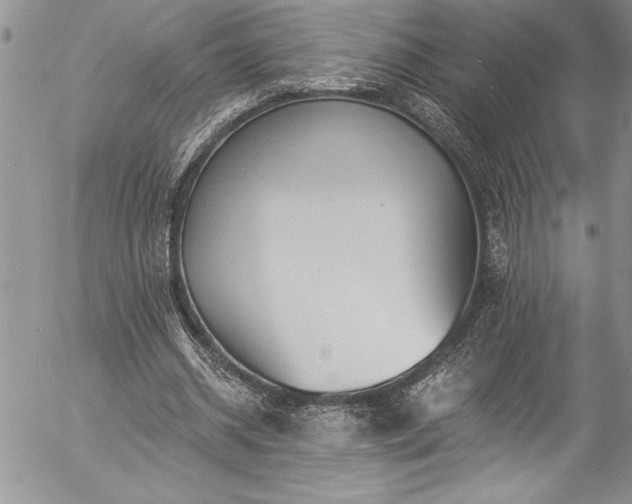 X0000057090534200509091316