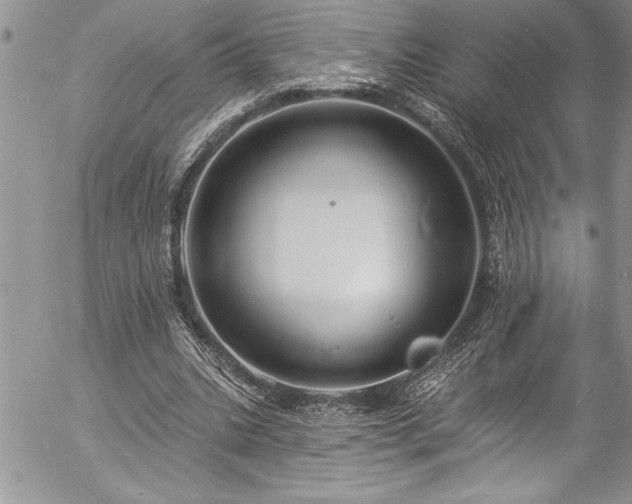 X0000057090535200509091316