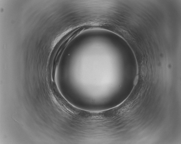 X0000057090536200509091316