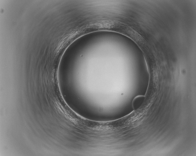 X0000057090537200509091316