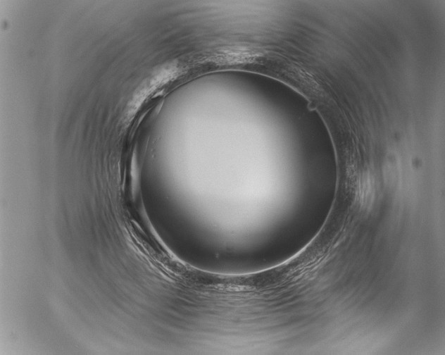 X0000057090539200509091316