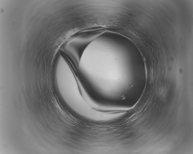 X0000057090540200509091316