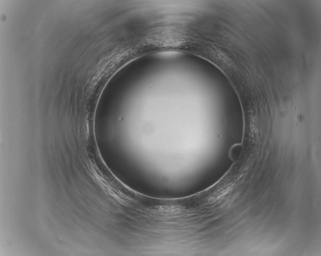 X0000057090541200509091316