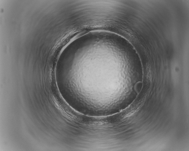 X0000057090542200509091316