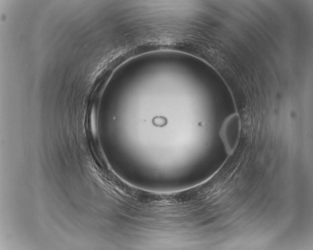 X0000057090544200509091316