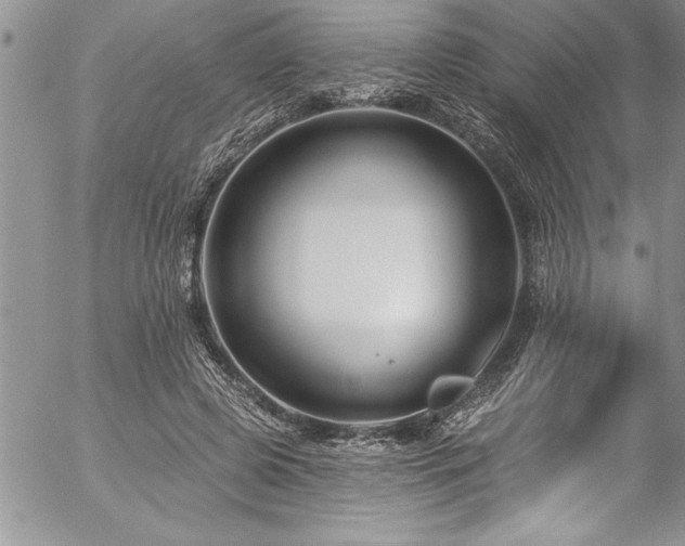 X0000057090545200509091316