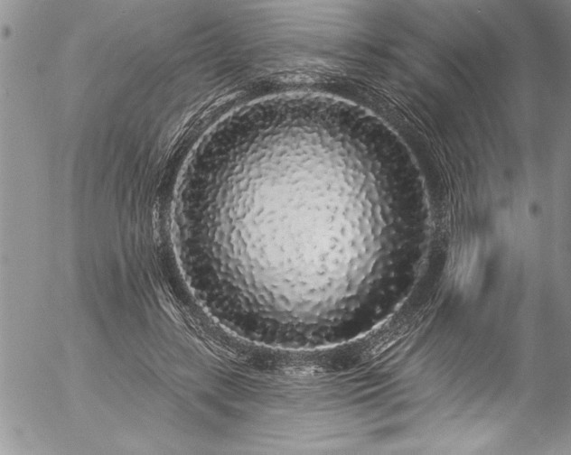 X0000057090547200509091316