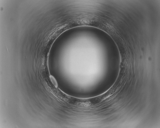 X0000057090548200509091316