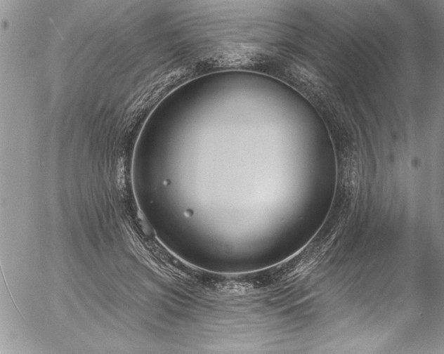 X0000057090549200509091316