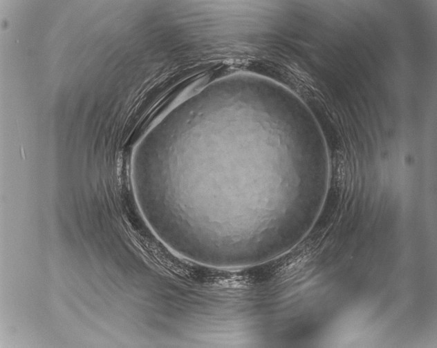 X0000057090550200509091316