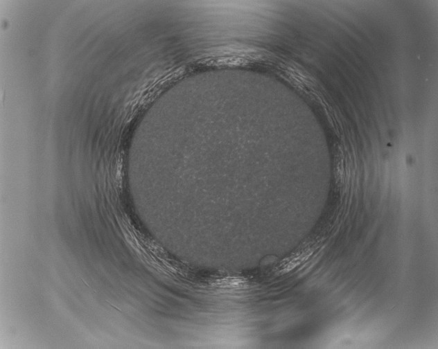 X0000057090551200509091316