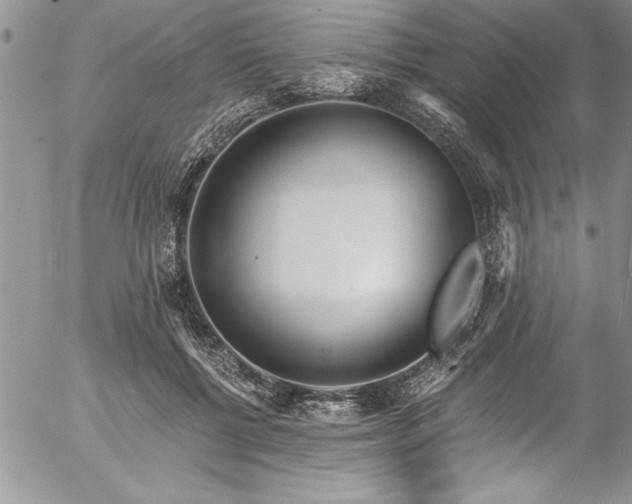 X0000057090552200509091316