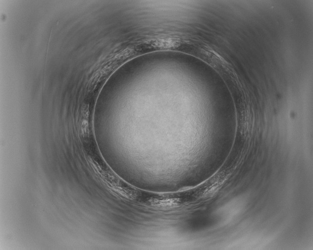 X0000057090553200509091316