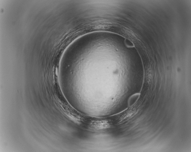 X0000057090554200509091316