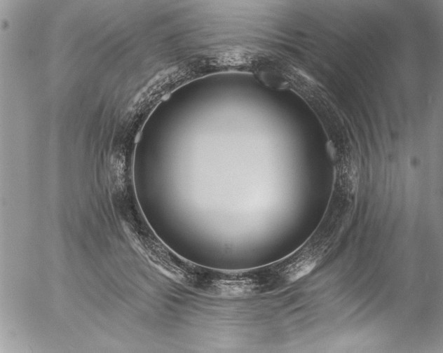 X0000057090556200509091316