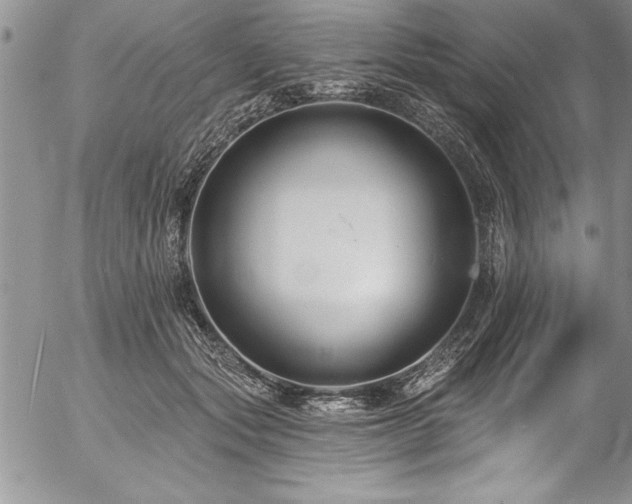 X0000057090557200509091316