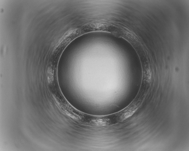 X0000057090558200509091316