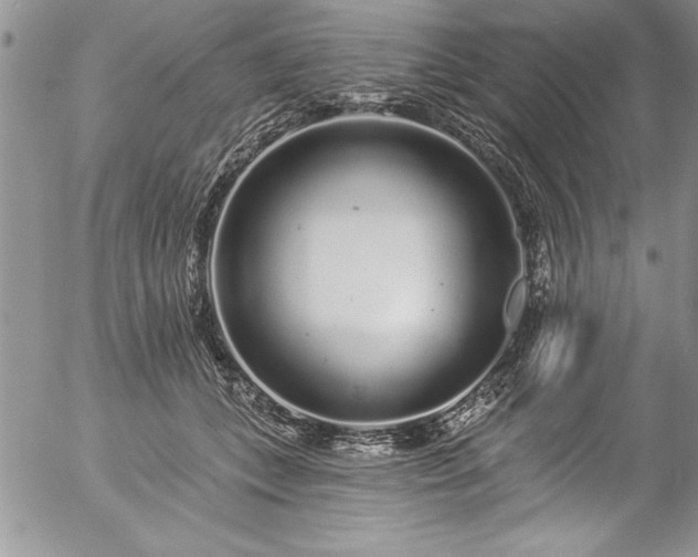 X0000057090559200509091316