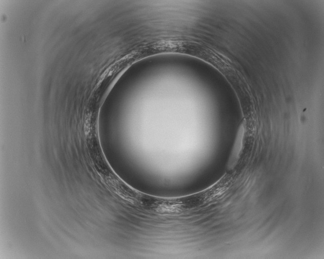 X0000057090560200509091316