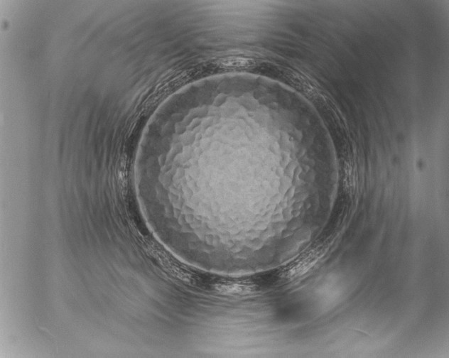 X0000057090561200509091316