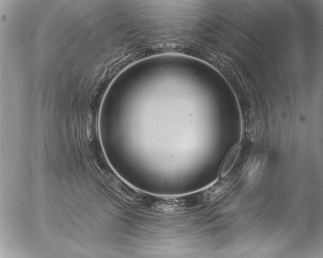 X0000057090563200509091316