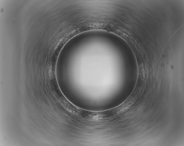 X0000057090564200509091316